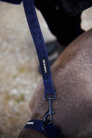 Blue Corduroy Collar and Lead
