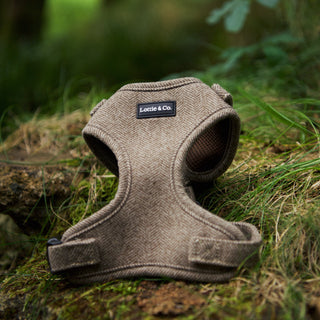 Front of light brown herringbone tweed dog harness