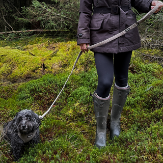 Lottie & Co Brown Tweed Dog Extendable Lead Extended