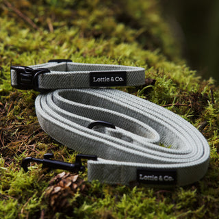 Sage green herringbone tweed dog lead and collar