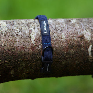 Navy corduroy dog  collar draped over branch