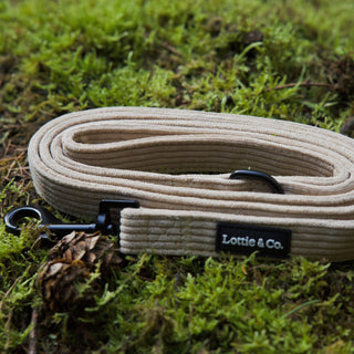 Neutral corduroy dog lead rolled up