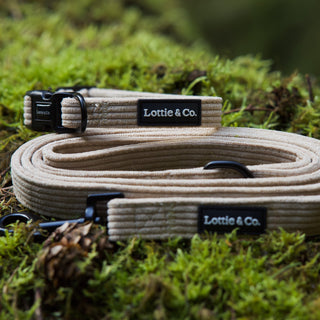 Neutral corduroy dog lead and collar