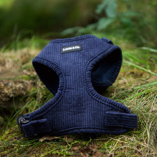 Navy corduroy dog harness