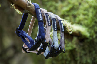 Navy Corduroy Dog Collar