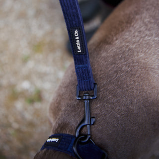 Navy corduroy dog lead and collar on grey dog