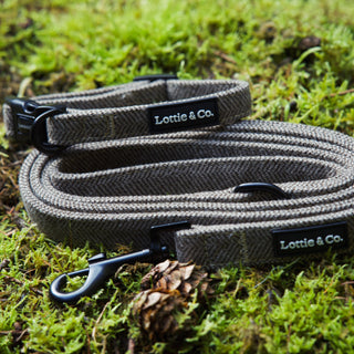 Brown herringbone tweed dog collar and lead