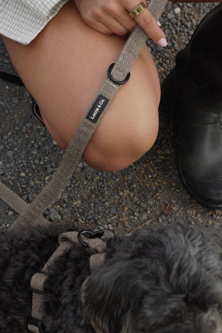 Brown Herringbone Tweed Dog Collar and Lead Set