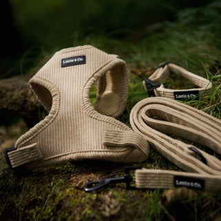 Neutral corduroy dog harness, lead and collar