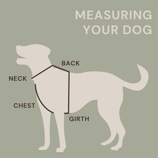 Dog measuring guide