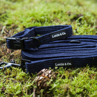 Navy corduroy dog lead and collar