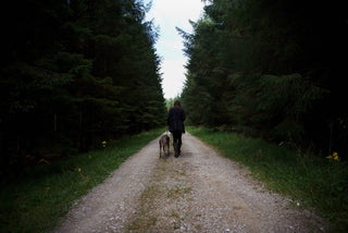 Lottie & Co Weimeraner 