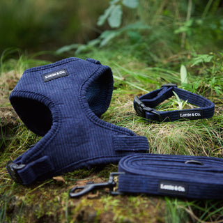 Navy corduroy dog harness, lead and collar