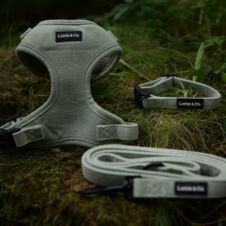 Sage green herringbone tweed dog harness, lead and collar