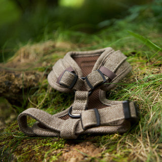 back of light brown herringbone tweed dog harness